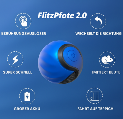 FlitzPfote 2.0